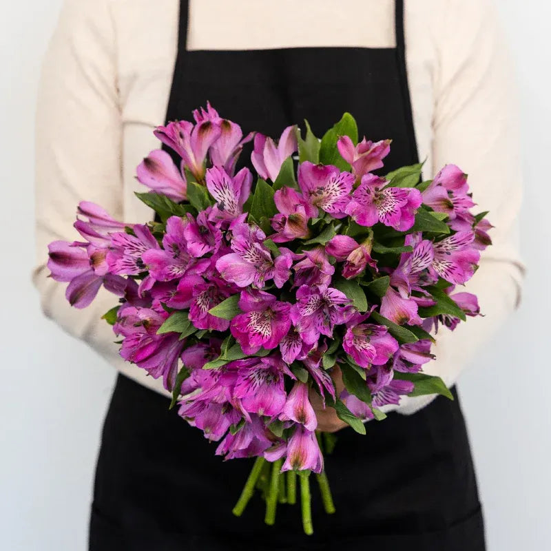 Purple Alstroemeria - Peruvian Lilies (20 Stems)