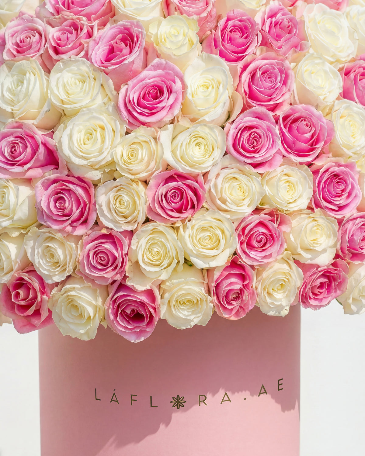Pink Roses Box Luxury Pink & White Roses Box