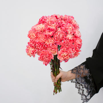 Carnation - Tinted Padi ( 25 Stems )