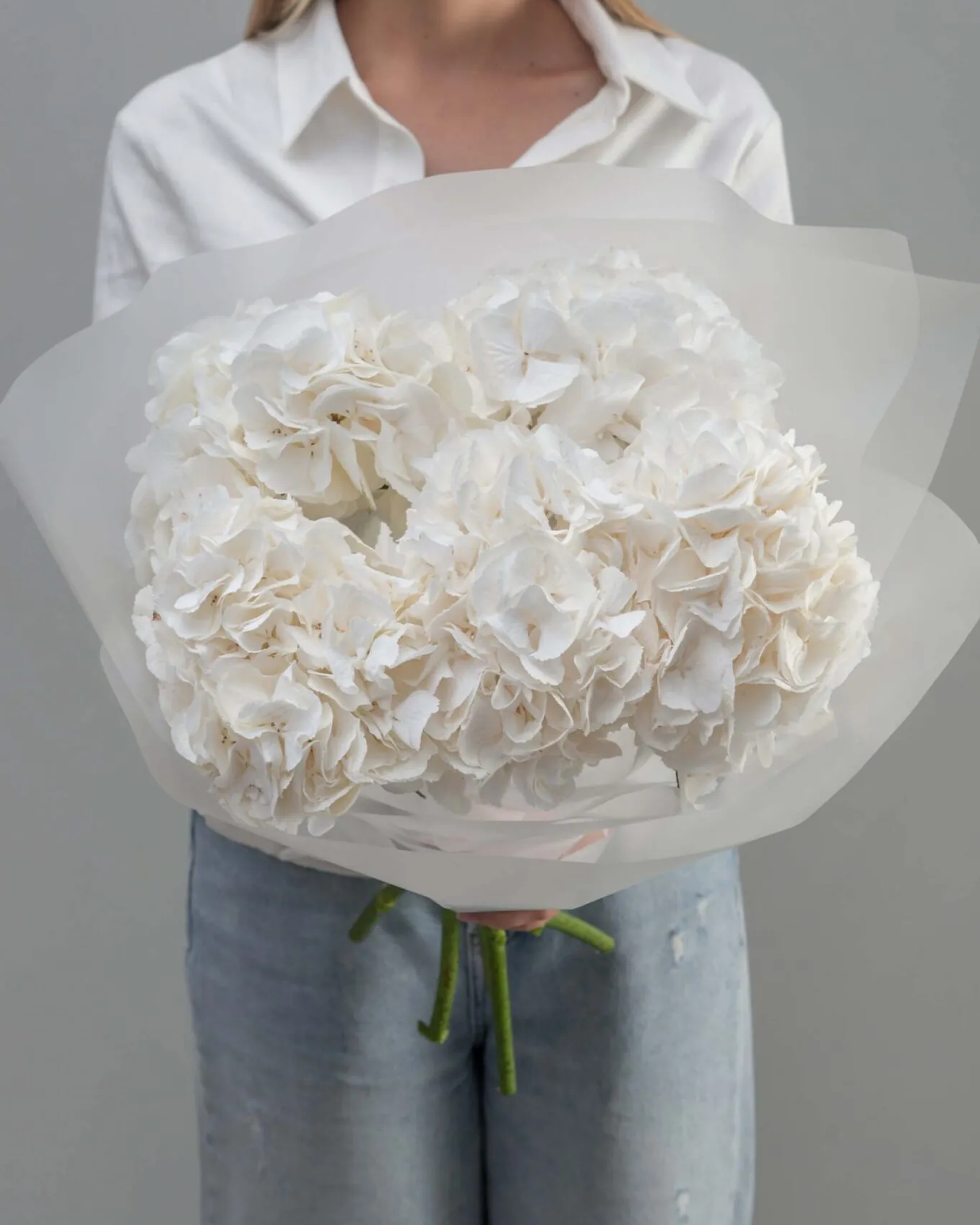 Hydrangea - Premium White ( 5 Stems )