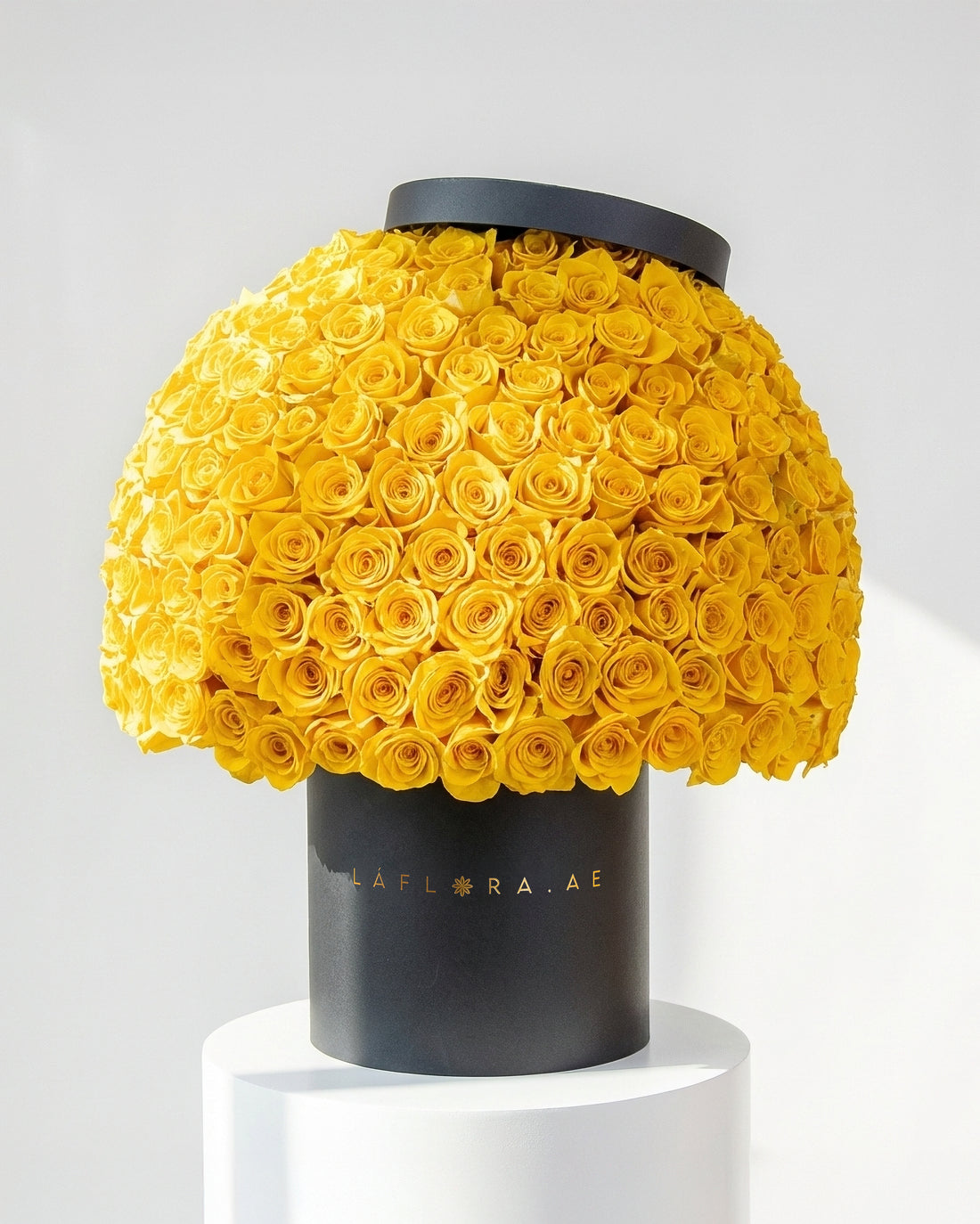The Golden Dome - Luxury Yellow Roses Box