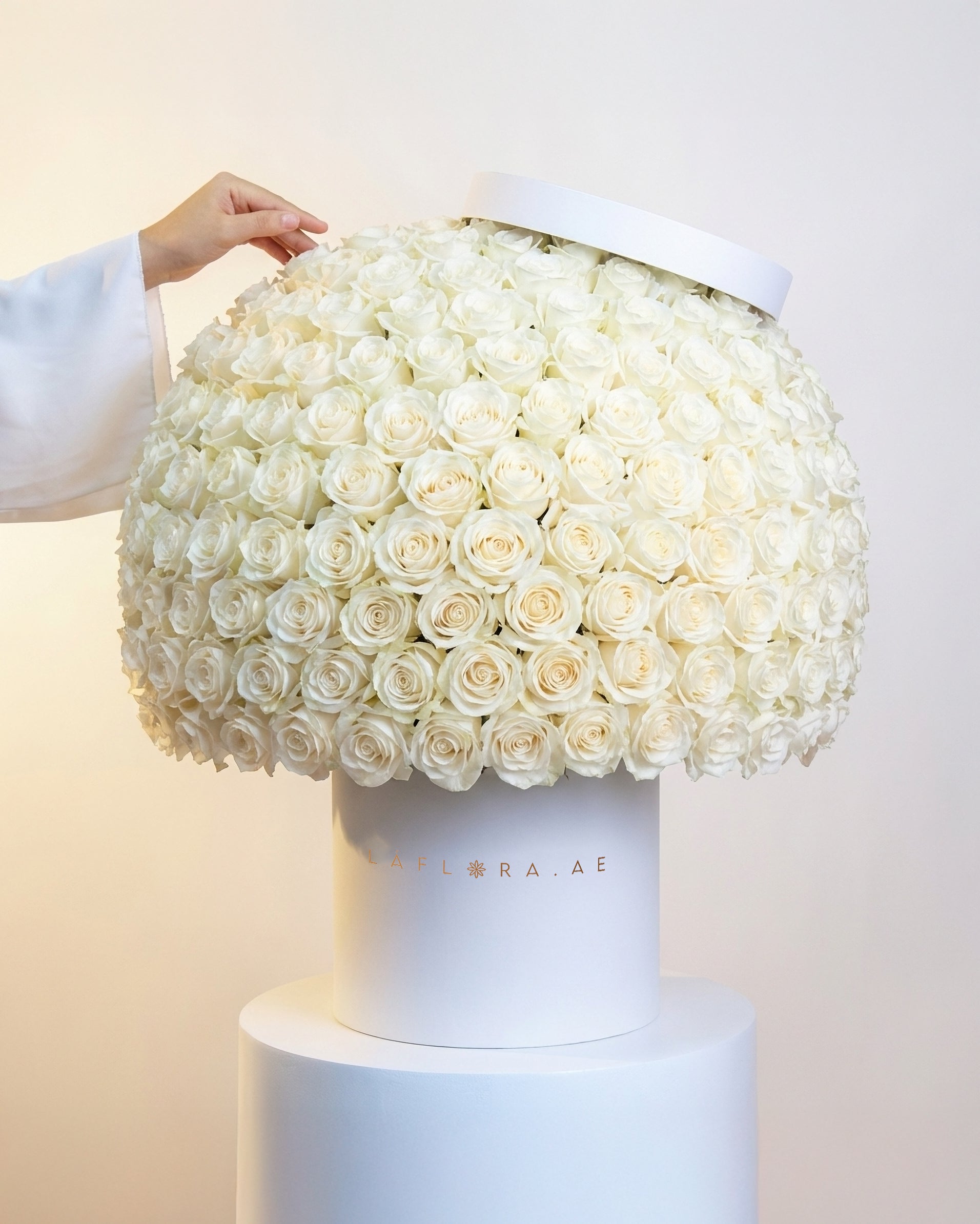Premium White Roses Box | Same-Day White Roses Delivery in Dubai ...