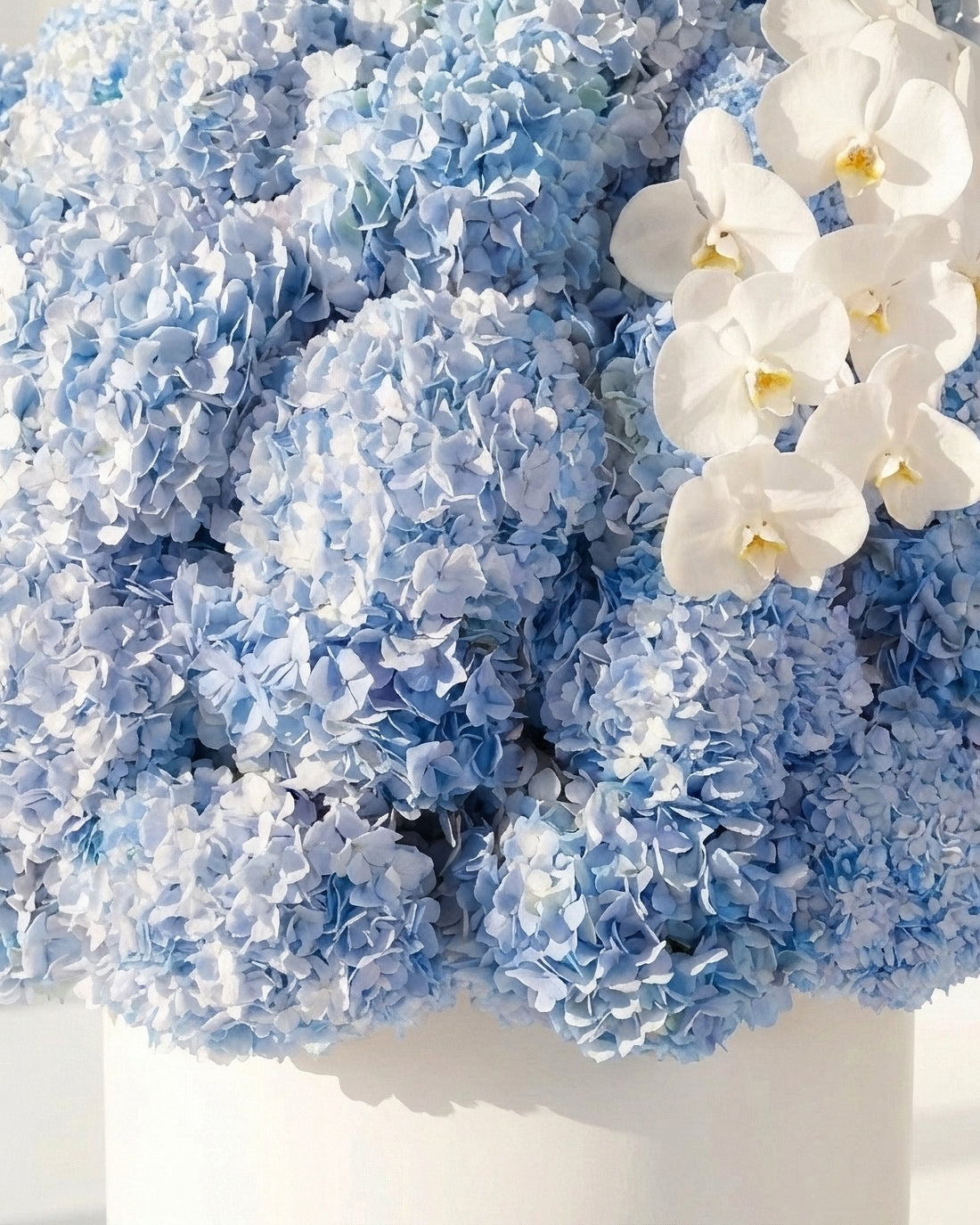 Luxury Light Blue Hydrangea Box