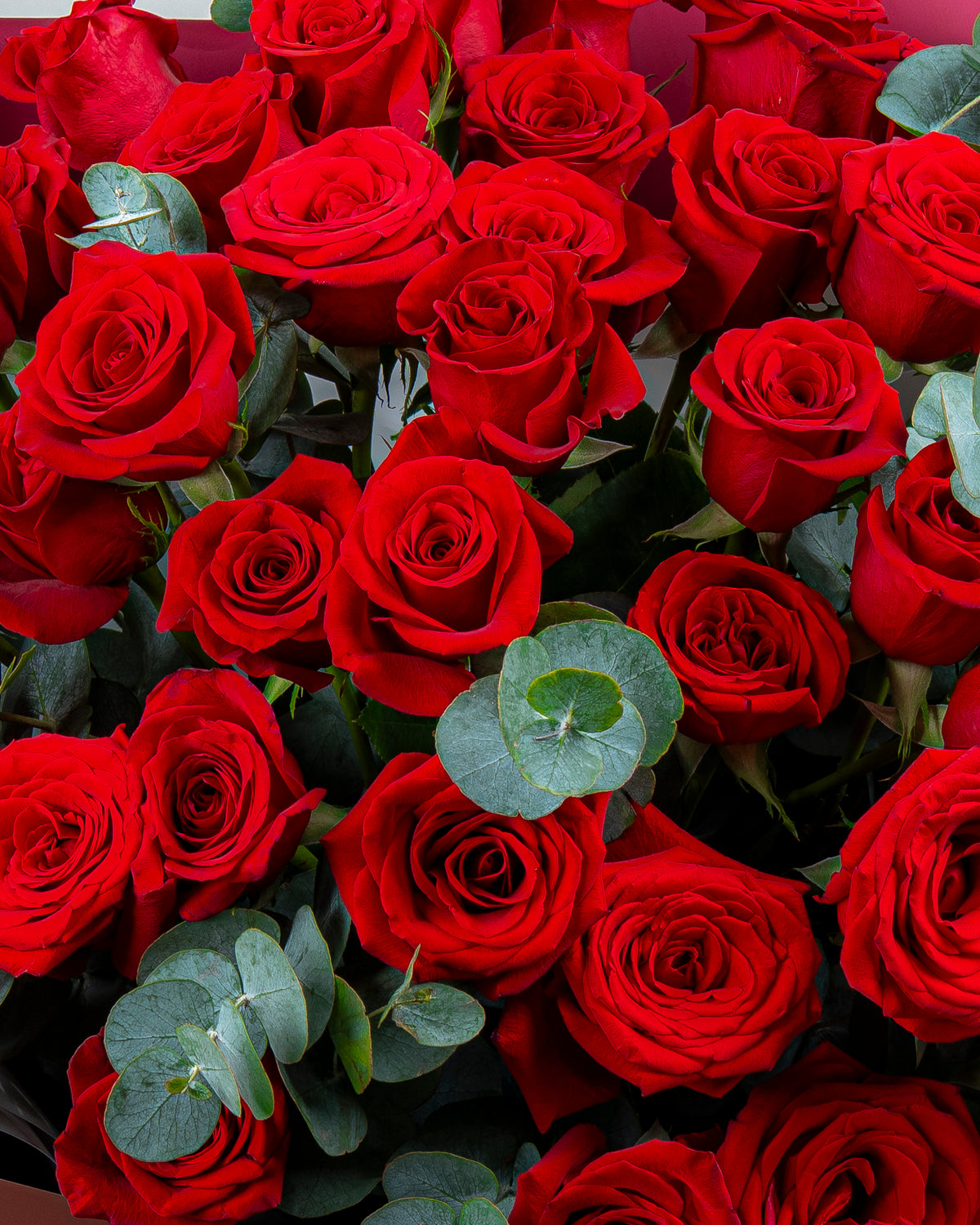 Red Roses Mx Premium Red Roses Bouquet