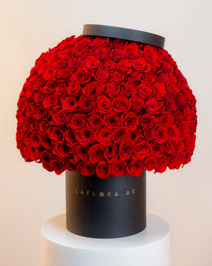 Send Dome Roses to Dubai