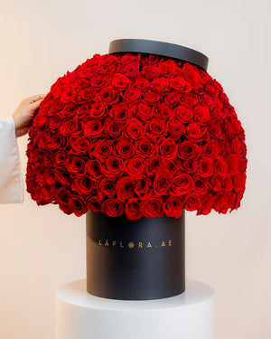 Send Dome Roses to Dubai