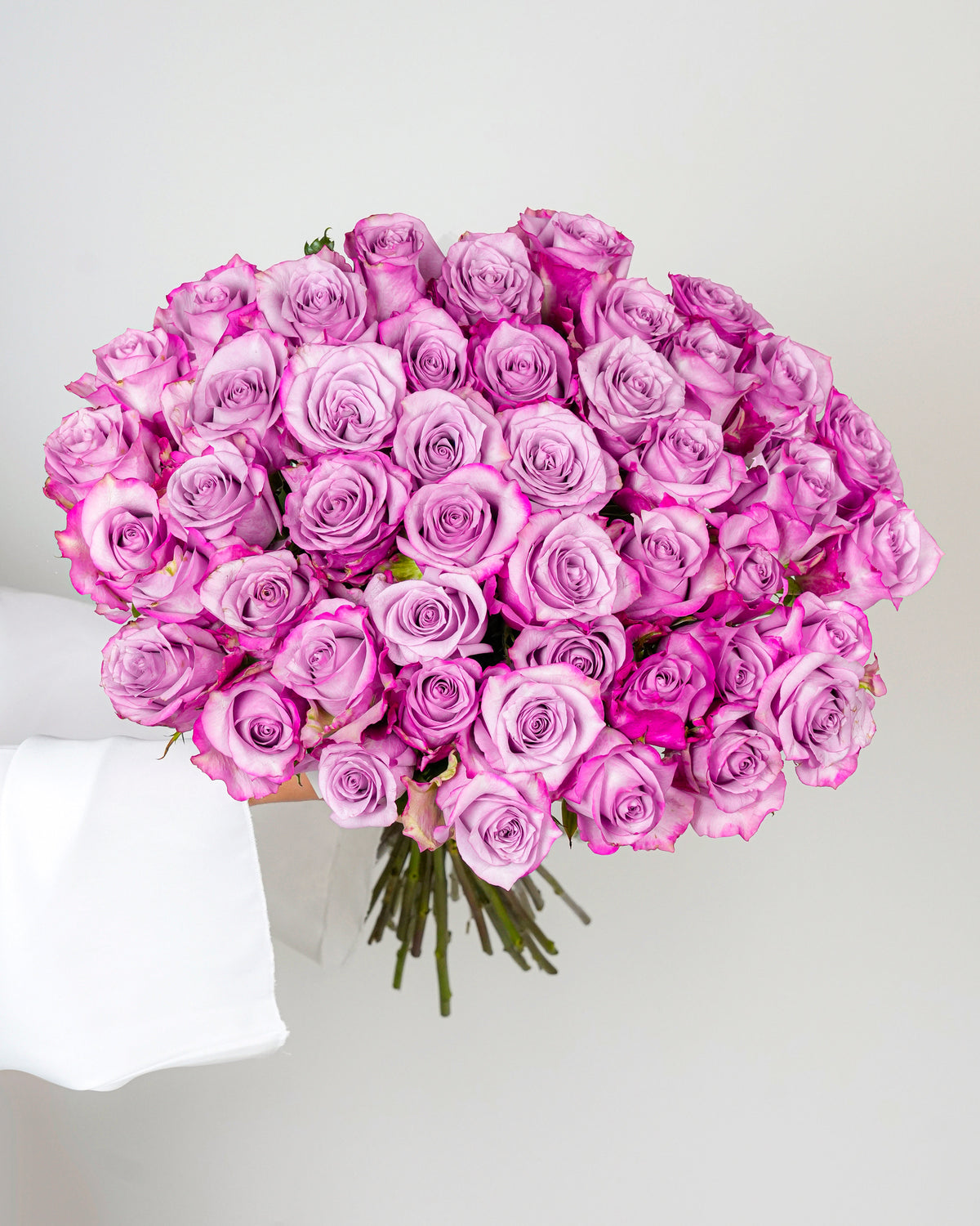 Premium Rose Deep Purple