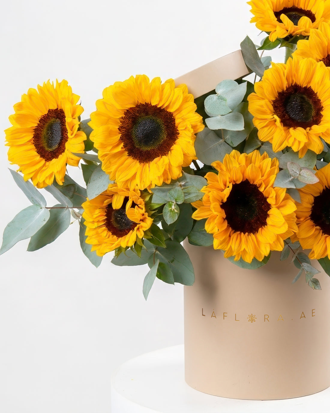 Sunflower Box