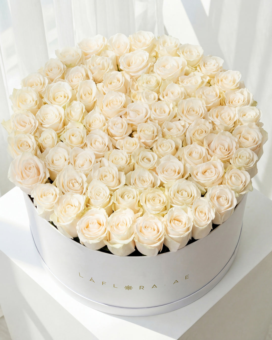 100 White Roses Box