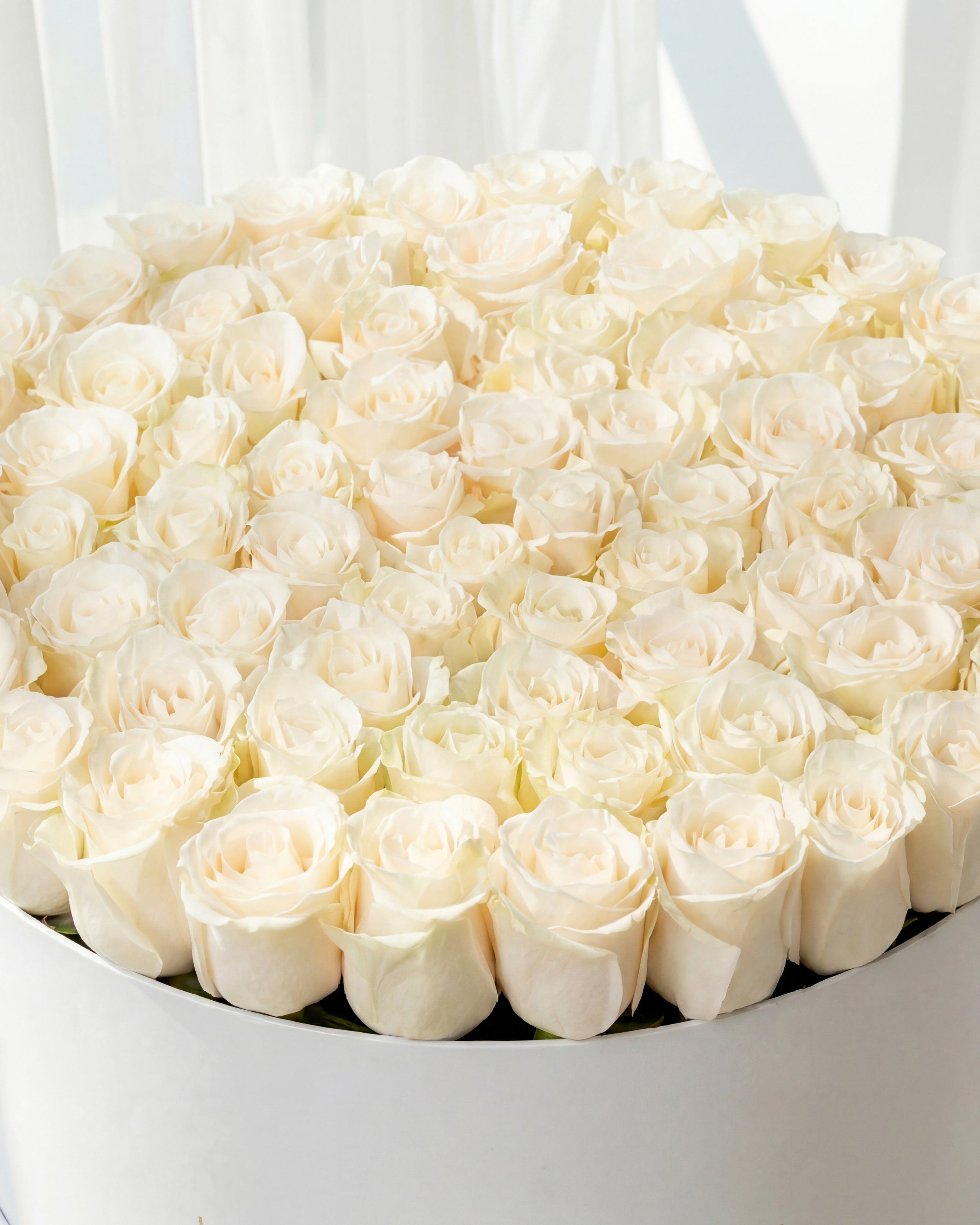 100 White Roses Box