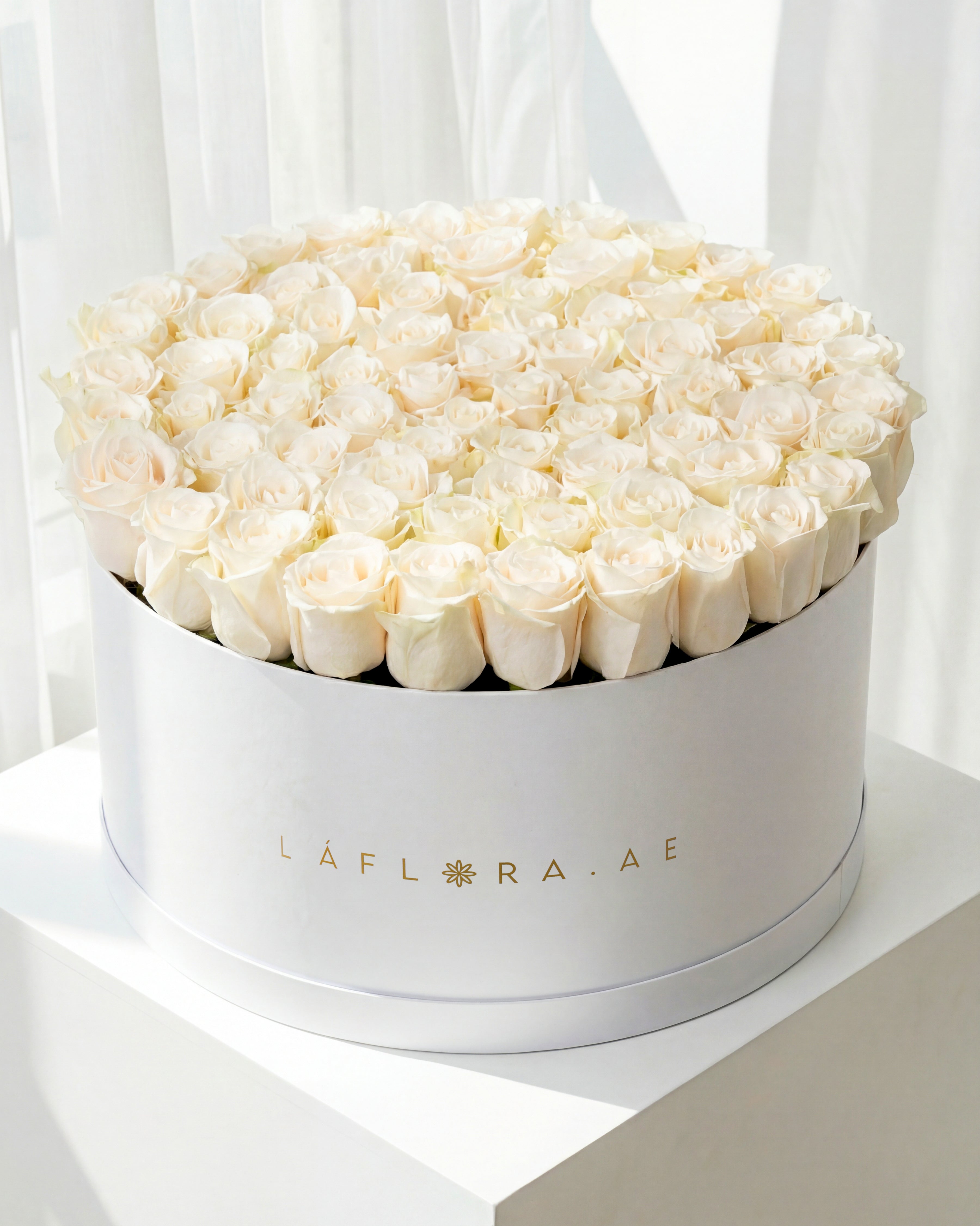 100 White Roses Box
