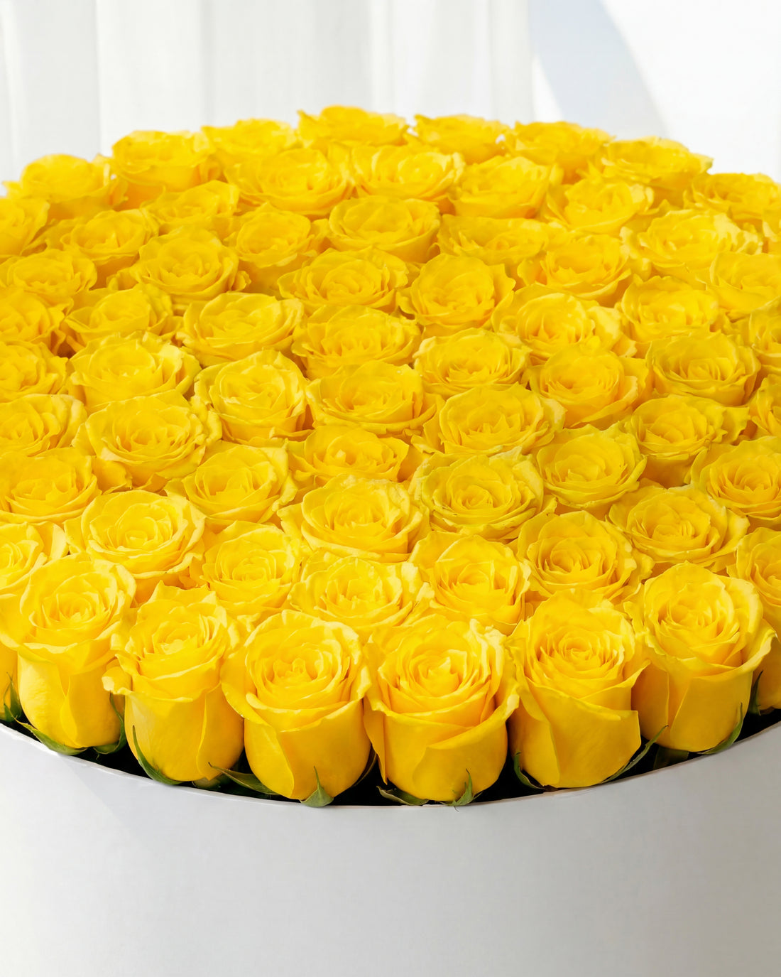 100 Yellow Roses Box