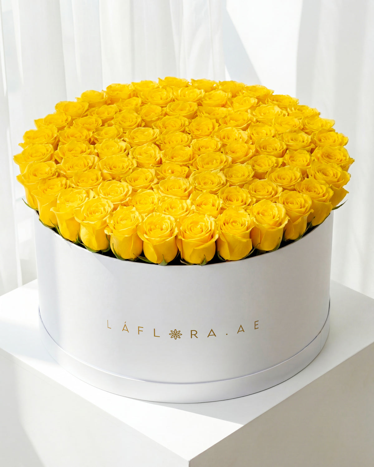 Yellow Roses 100 100 Yellow Roses Box