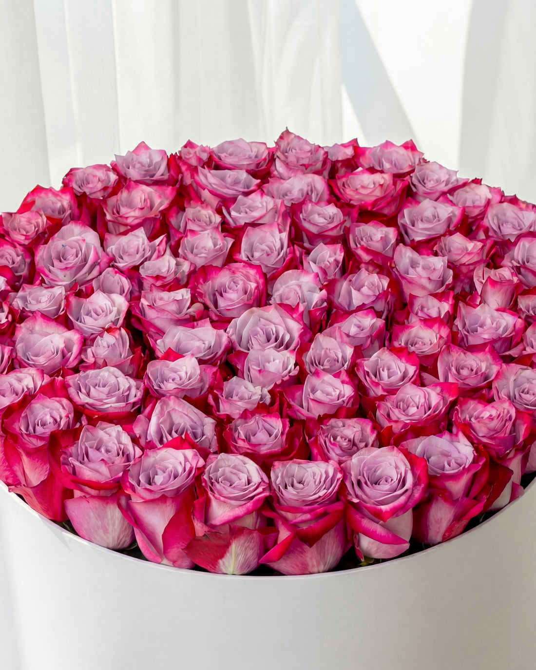 100 Purple Roses Box