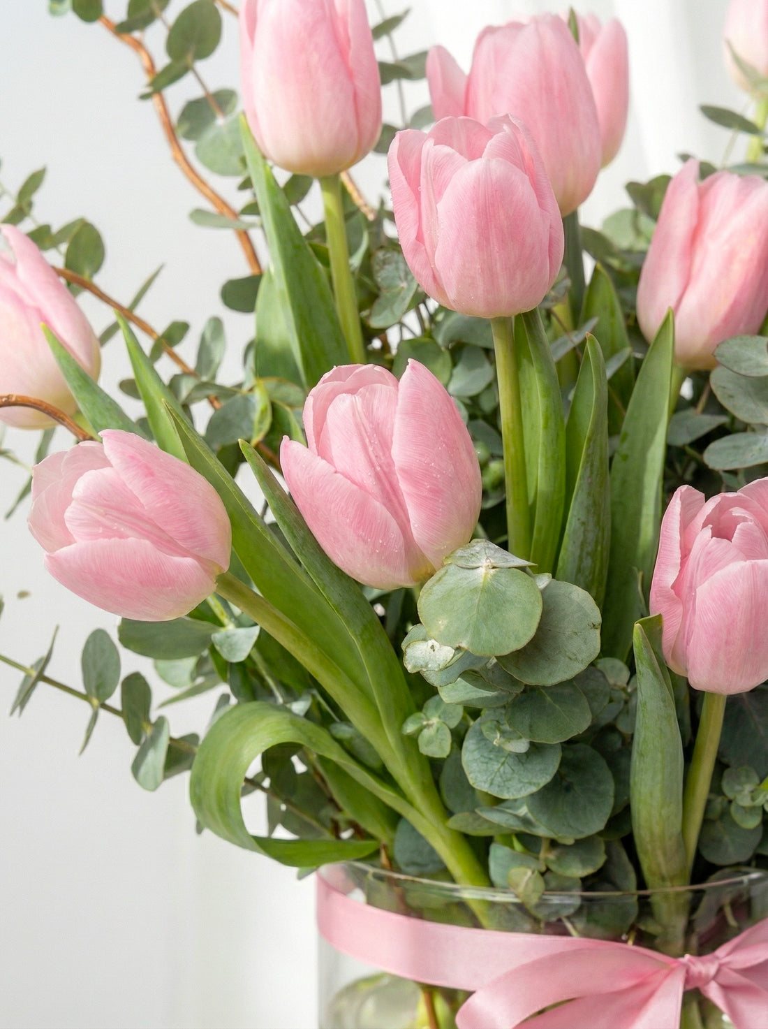 Blush Tulip's Premium Vase