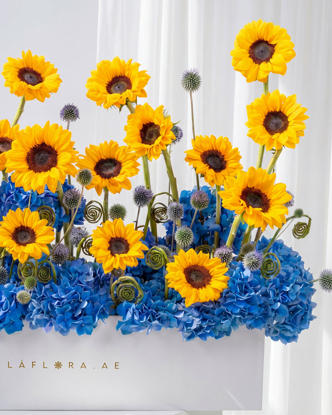 Sapphire Sunflower Box