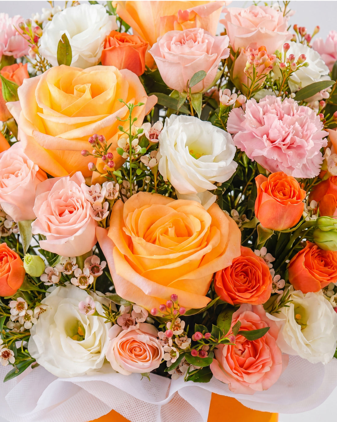 Lumira Blooms Box