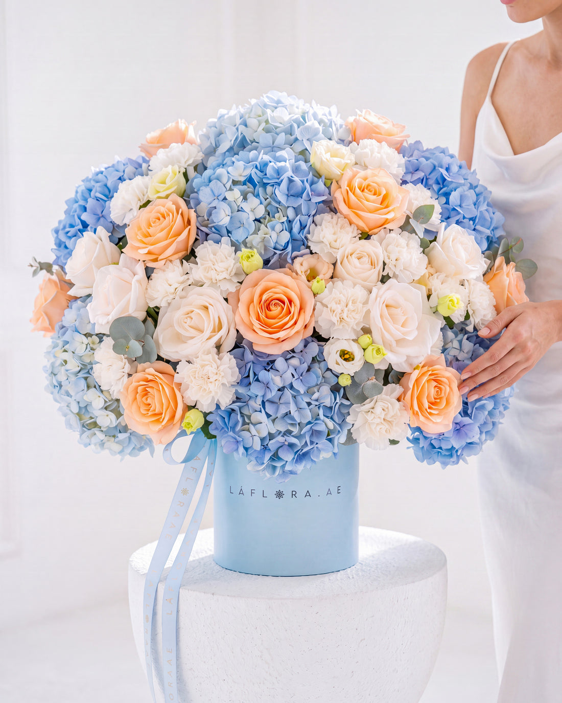 Royal Breeze Hydrangea Box