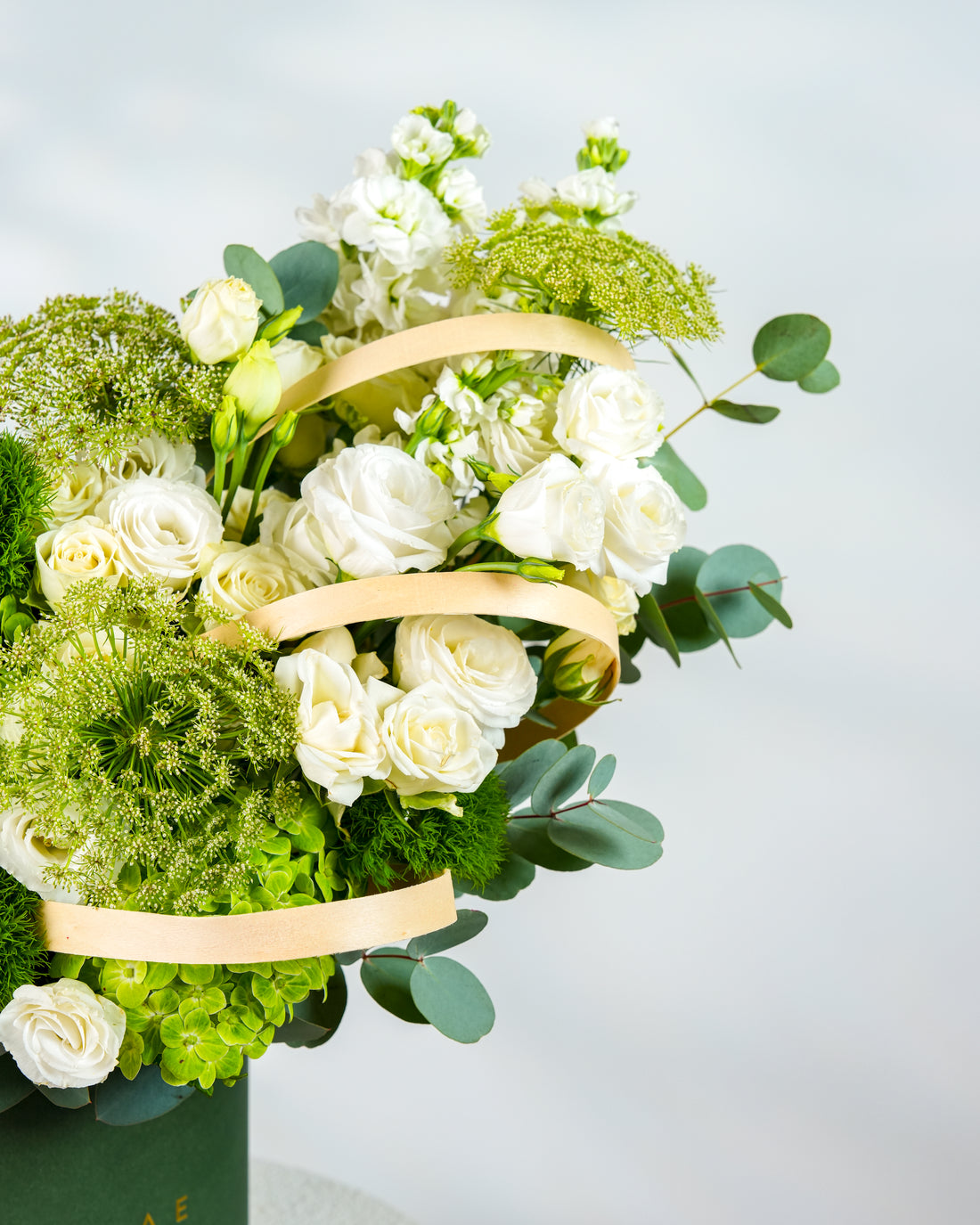Verdant Poise Box