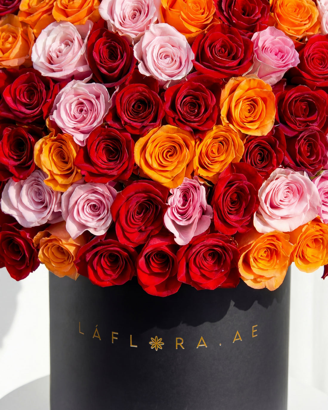 Ember Luxury Roses Box