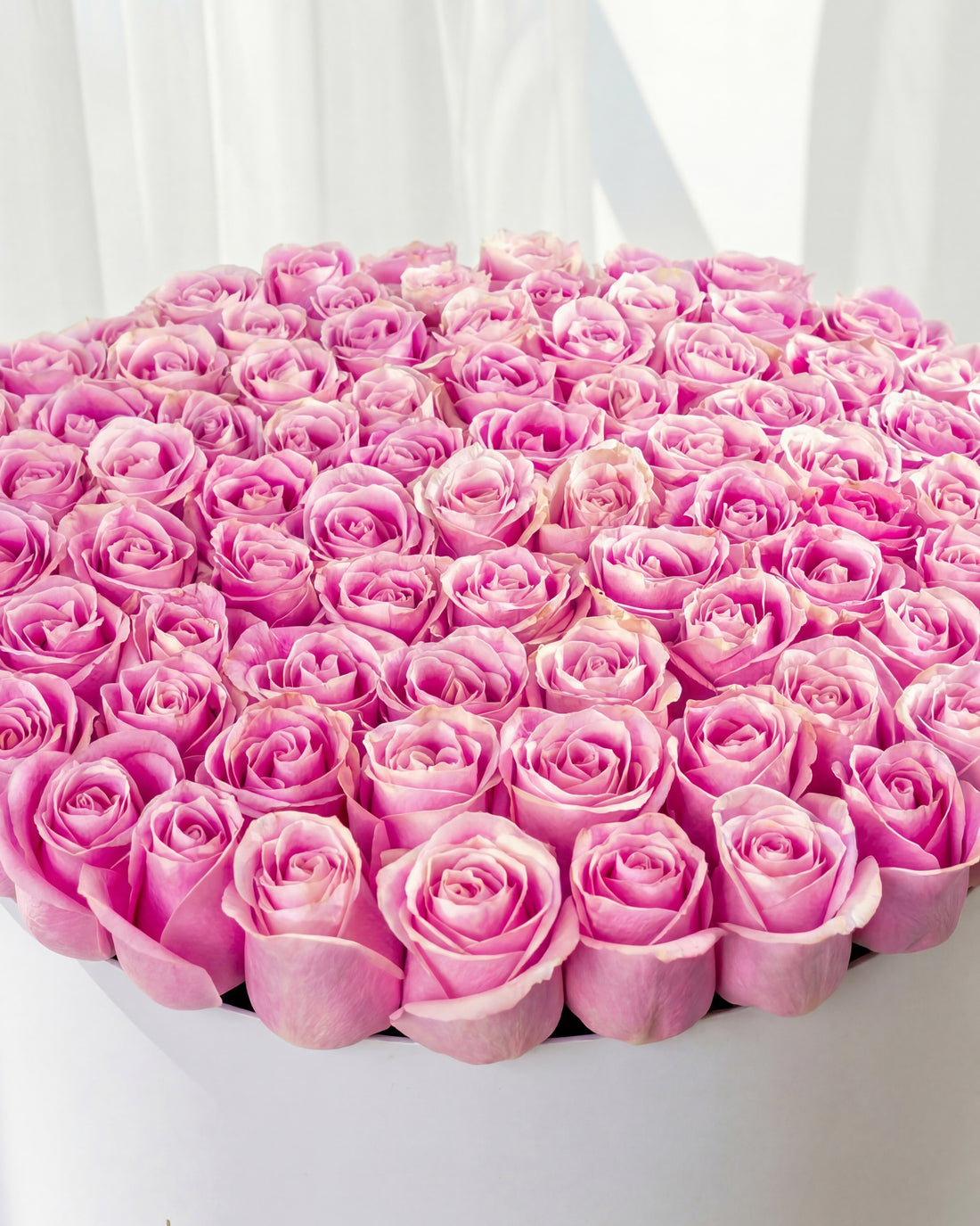 100 Pink Roses Box