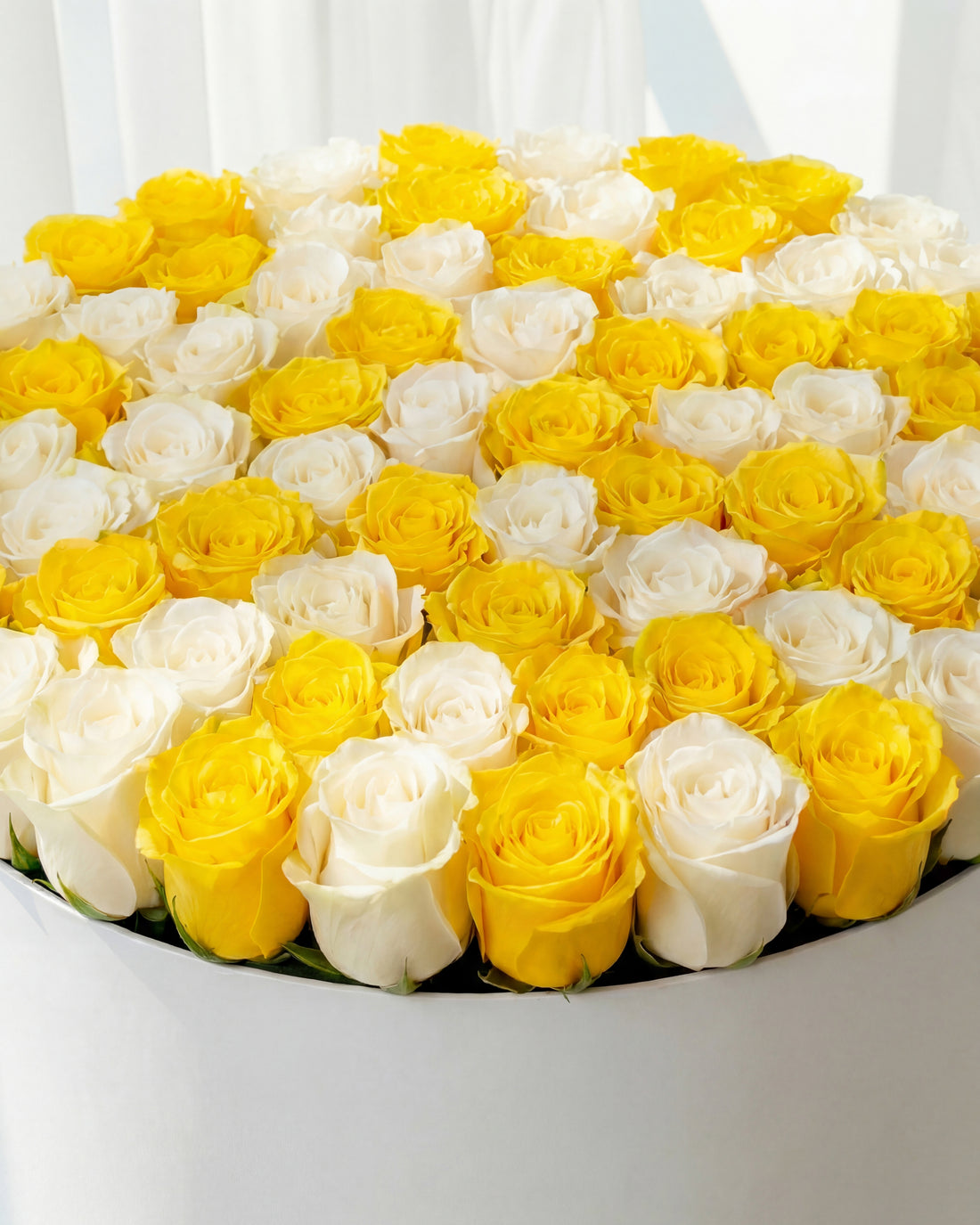 100 Yellow & White Roses Box
