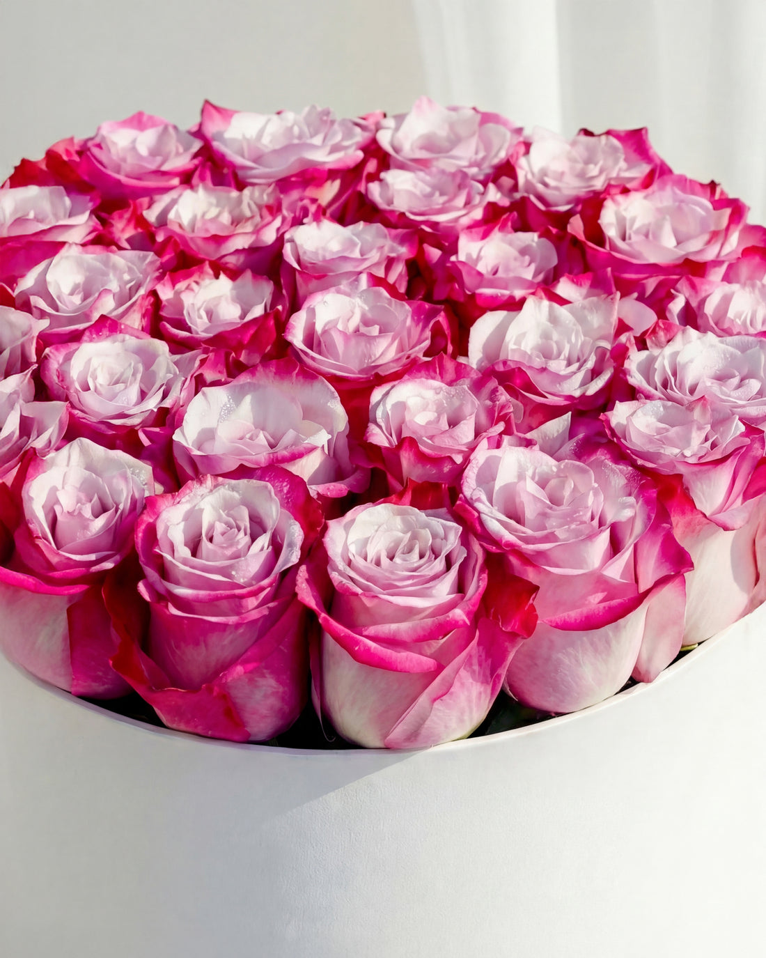 Purple Roses Box