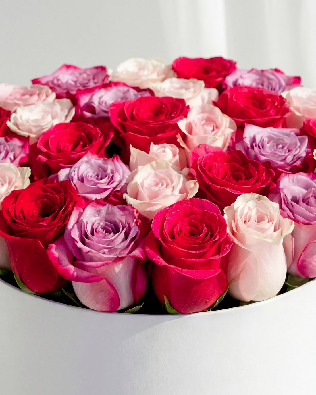 Passion Premium Roses Box