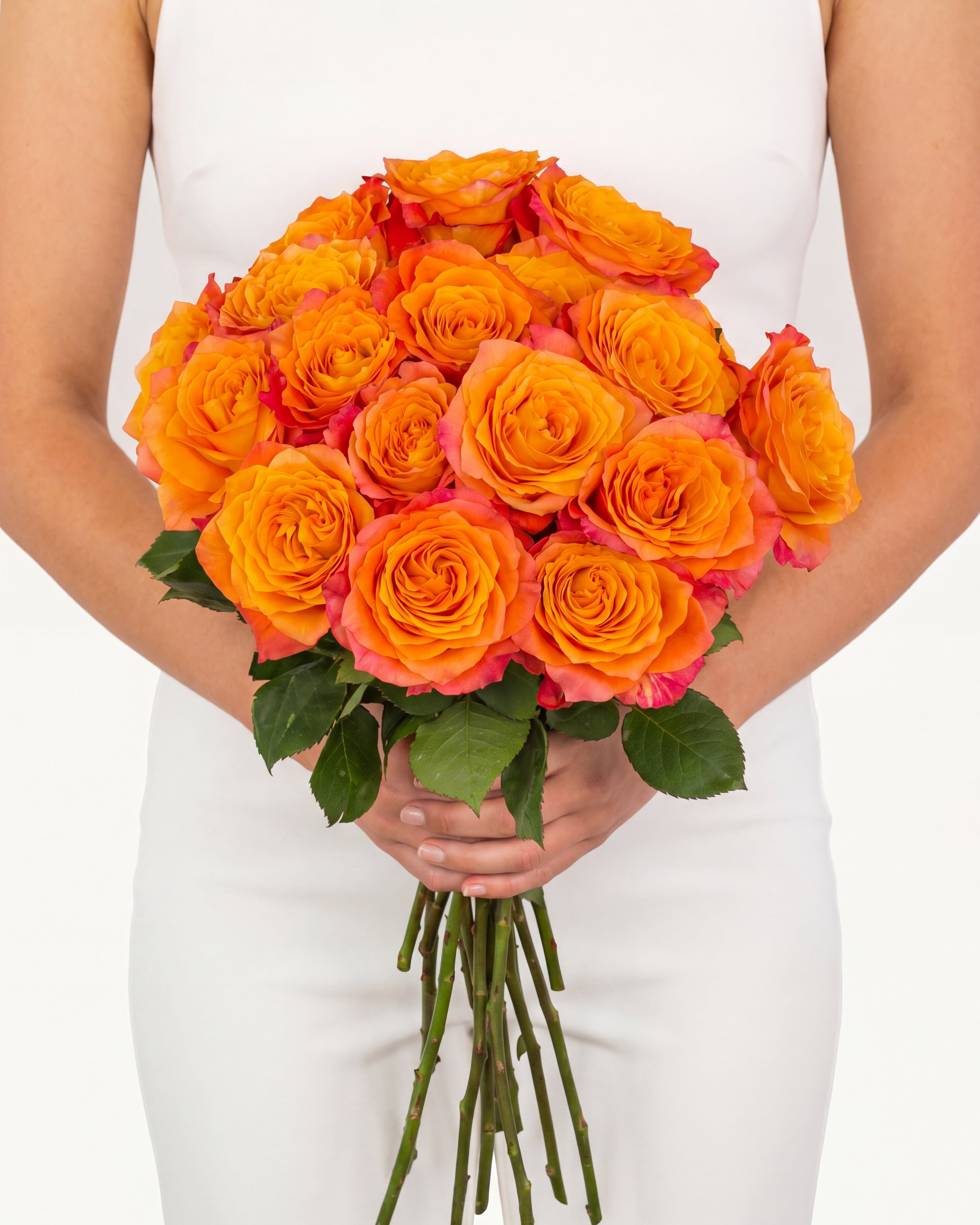 Free Spirit Rose - Premium