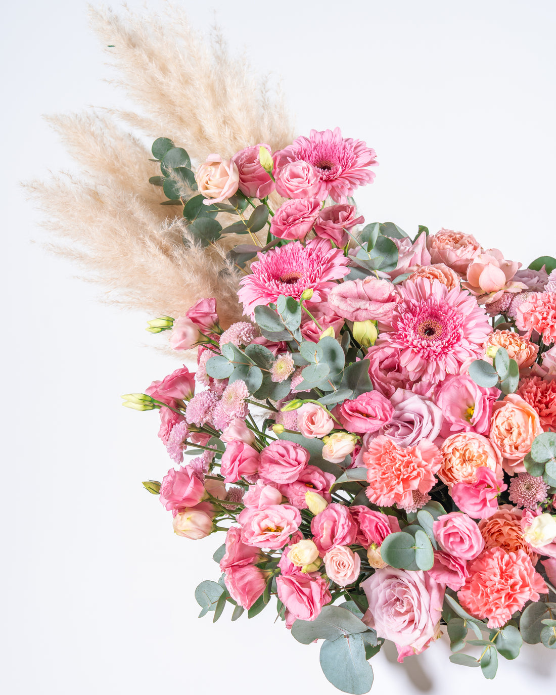 Solène - Celebration of Blooms