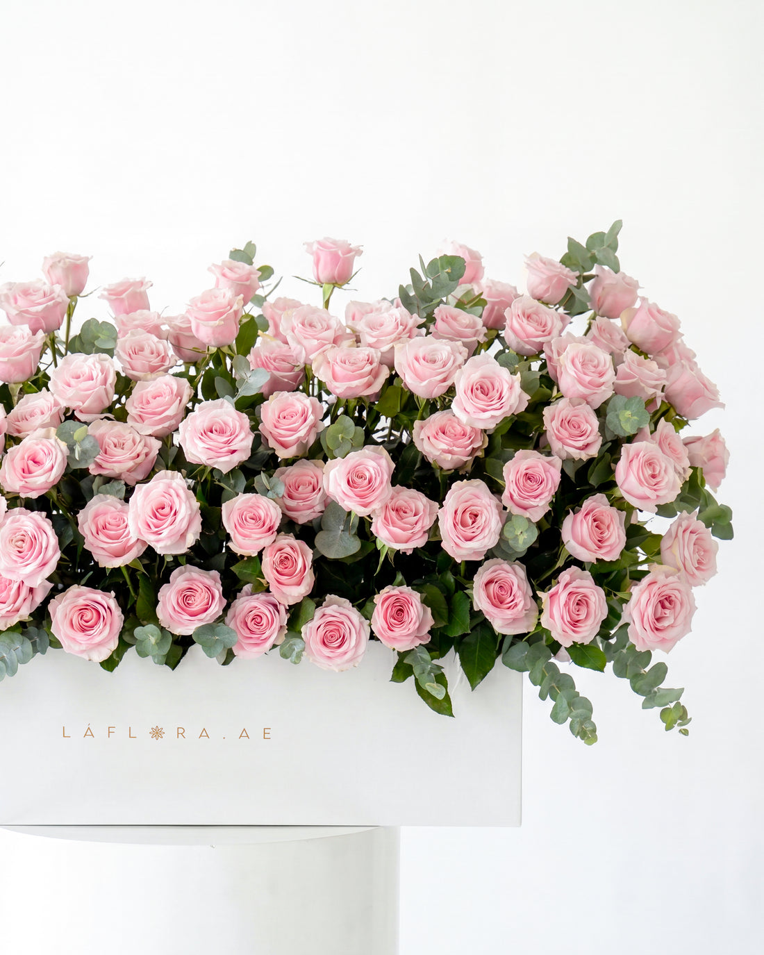 Grand Blush Roses Box