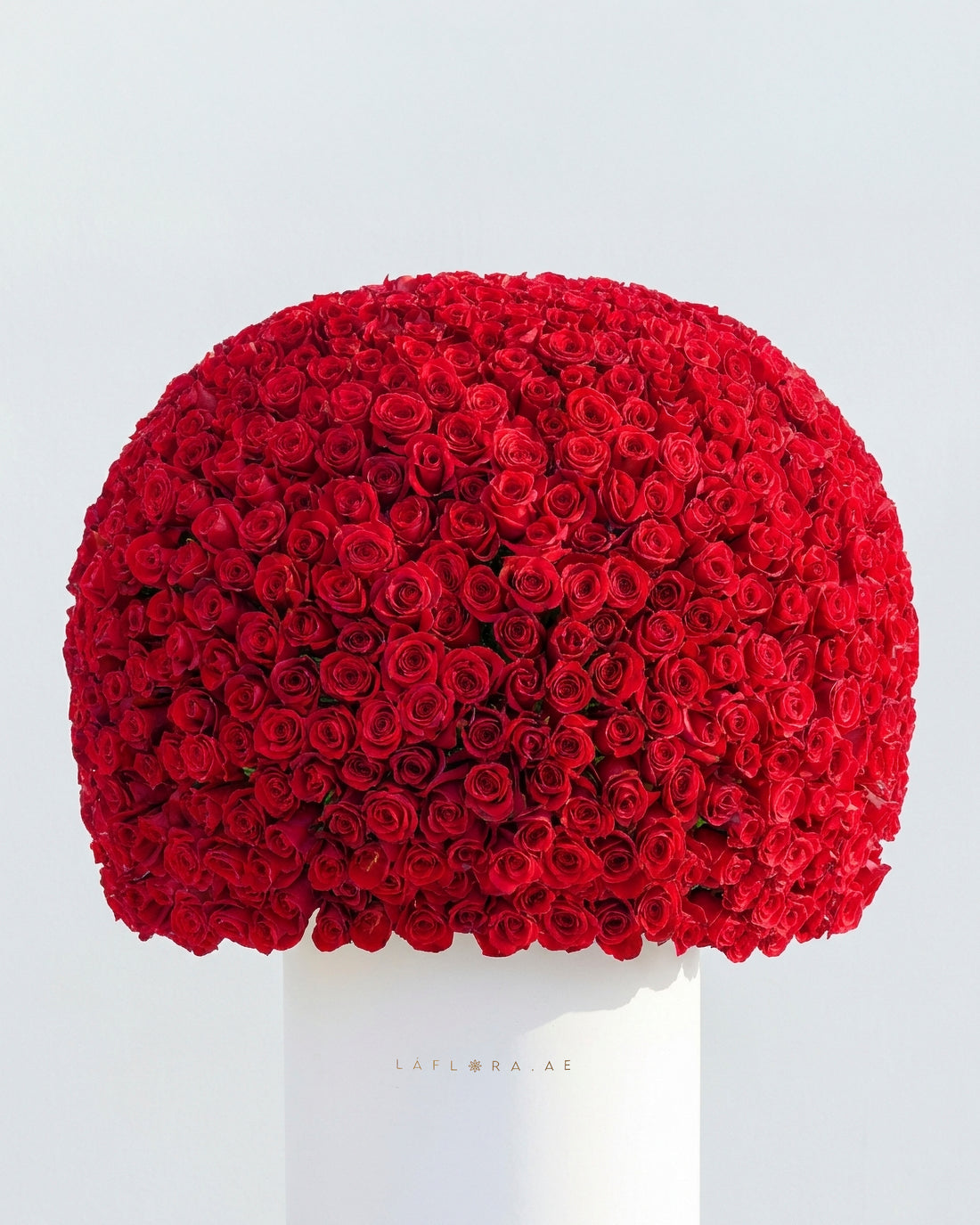 999 Red Roses Luxury Box