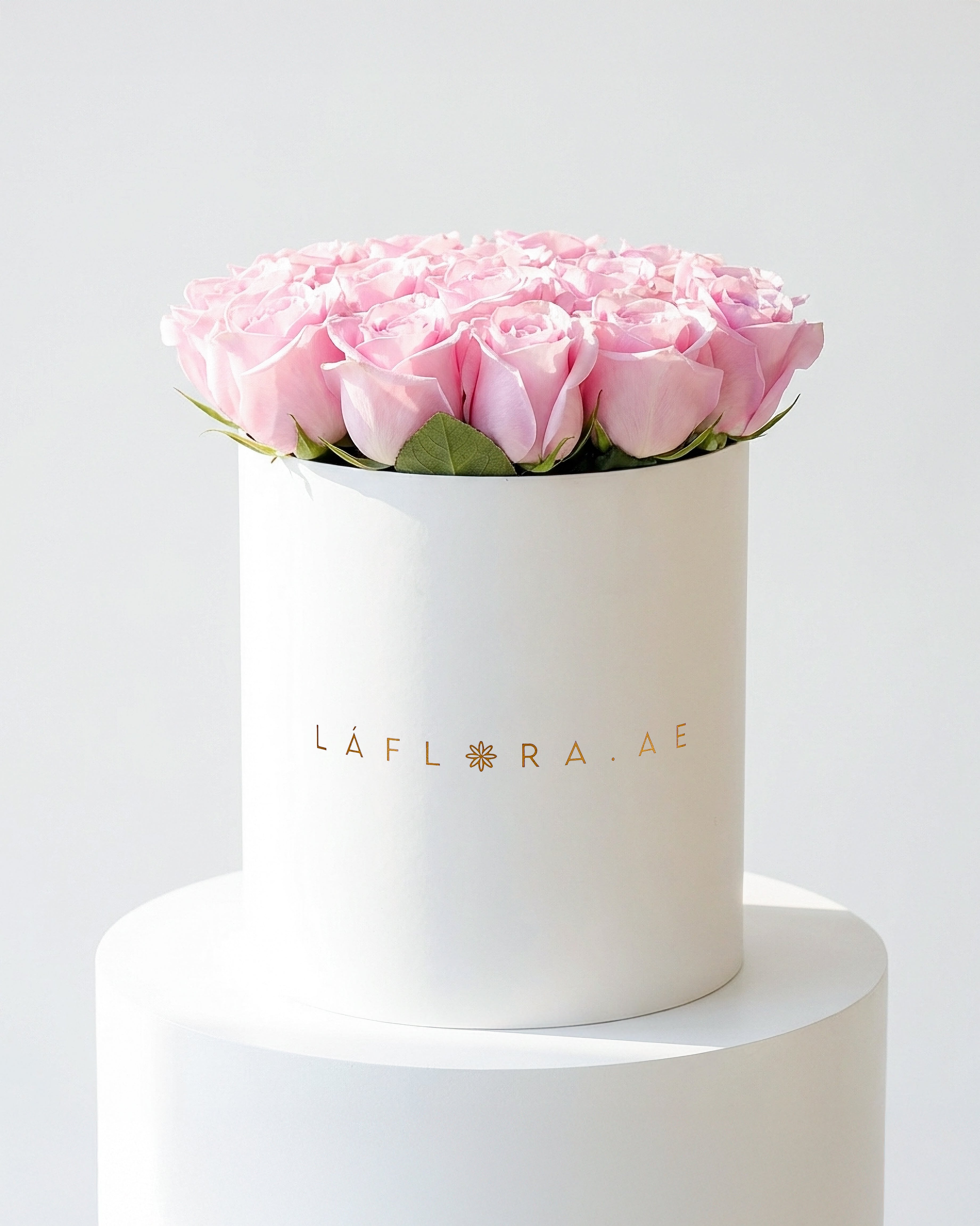Premium Pink Roses Box