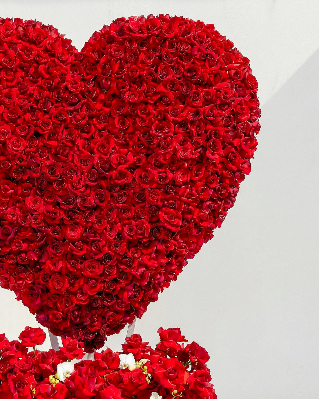 Majestic Heart Roses Box