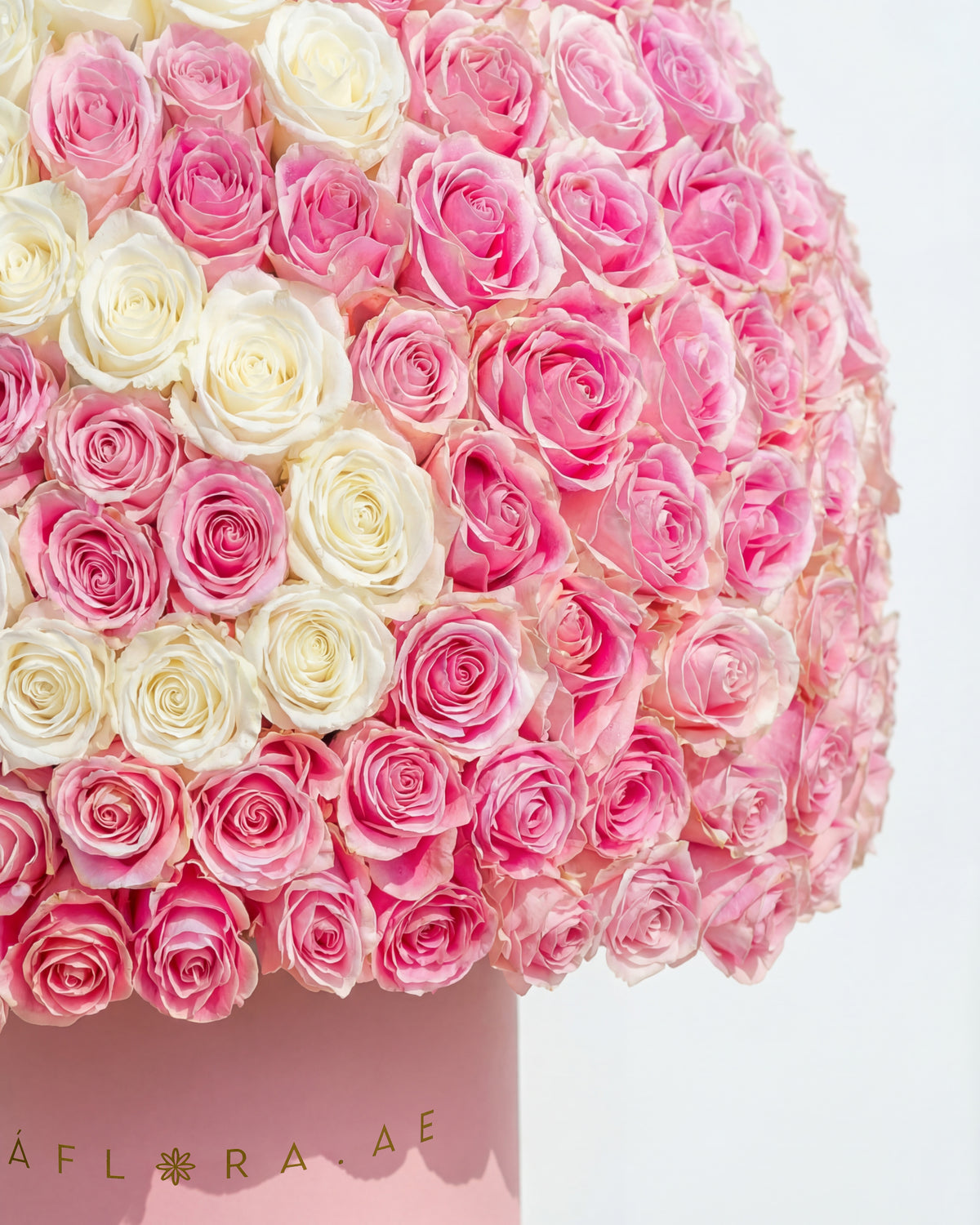 Pink Roses Box Luxury Letter Pink Roses Box