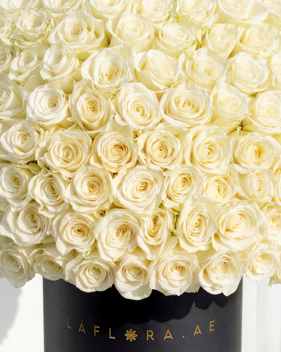 Luxury White Roses Box