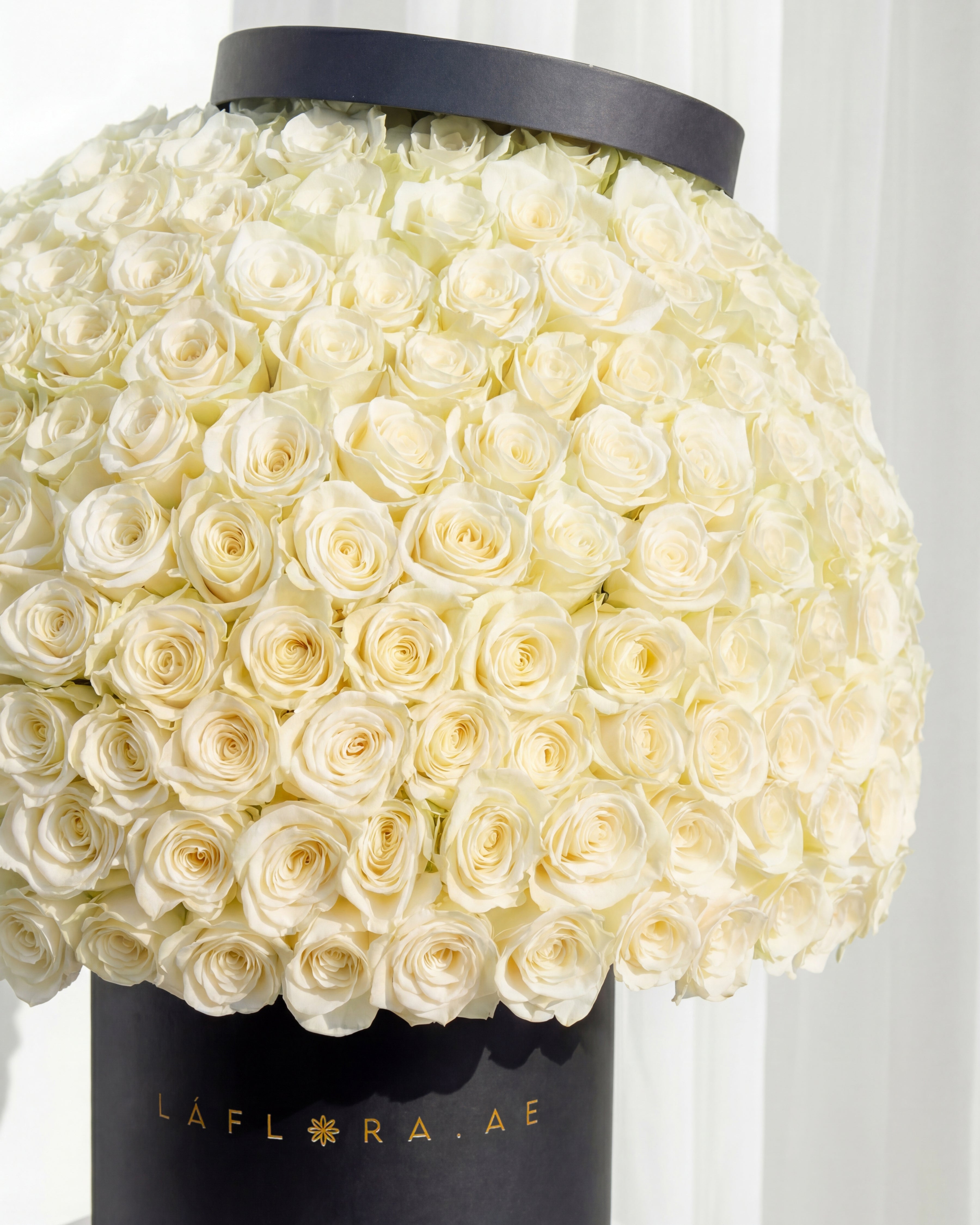 Premium White Roses Box | Same-Day White Roses Delivery in Dubai ...