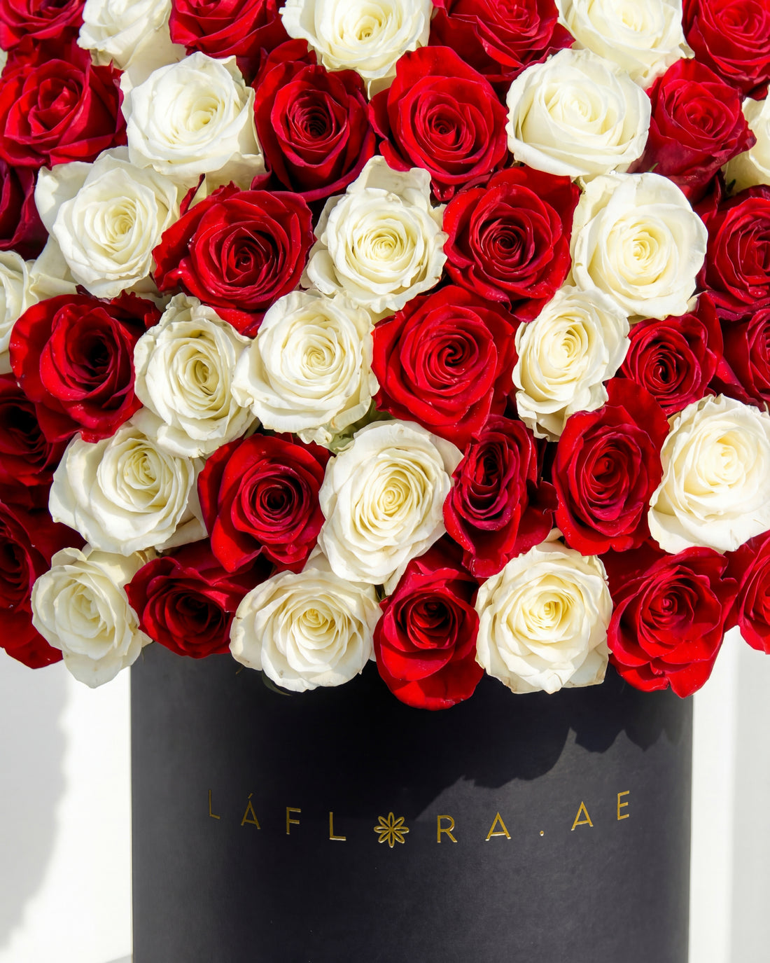 Luxury Red & White Roses Box