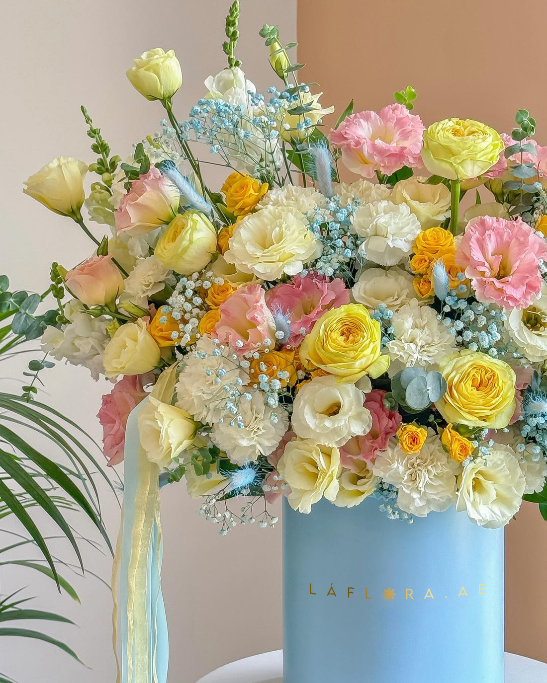 صندوق زهرة البحيرة