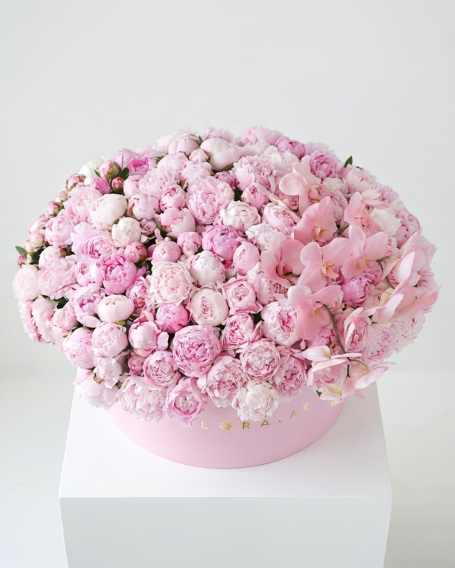 Royal Peony Box