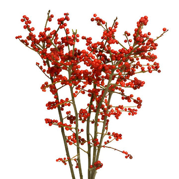 Red Ilex Winterberry Branches (5 Stems)