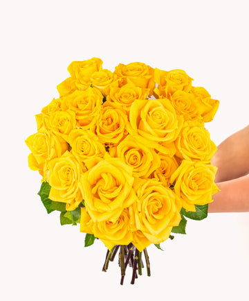 Rose - Golden Yellow (20 Stems)