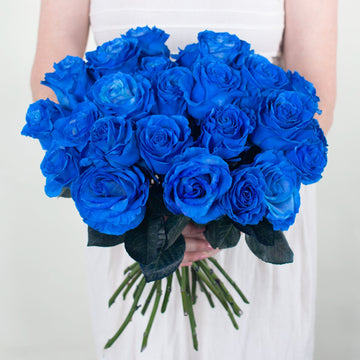 Rose - Blue Tinted (10 Stems)