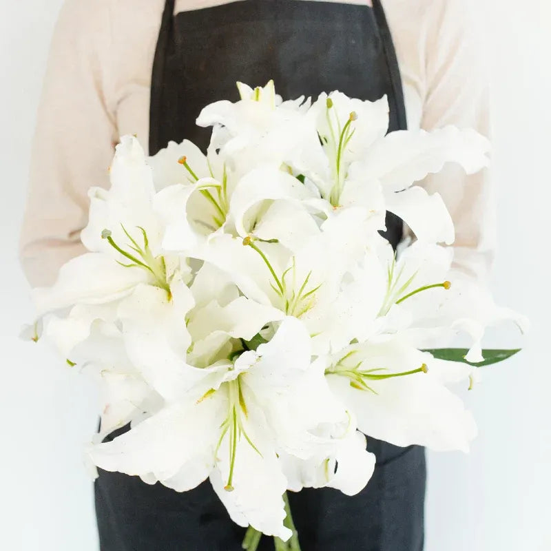 Lily - Ivory Oriental (5 Stems)