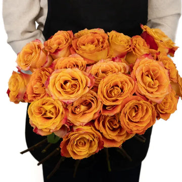 Rose - Silantoi Sunset (20 Stems)