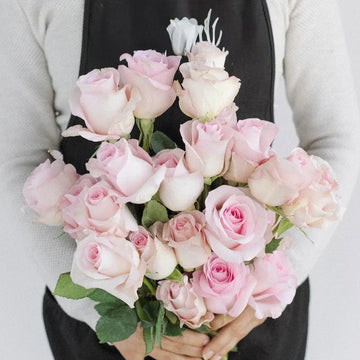 Rose - Esperance Soft Double Pink (20 Stems)