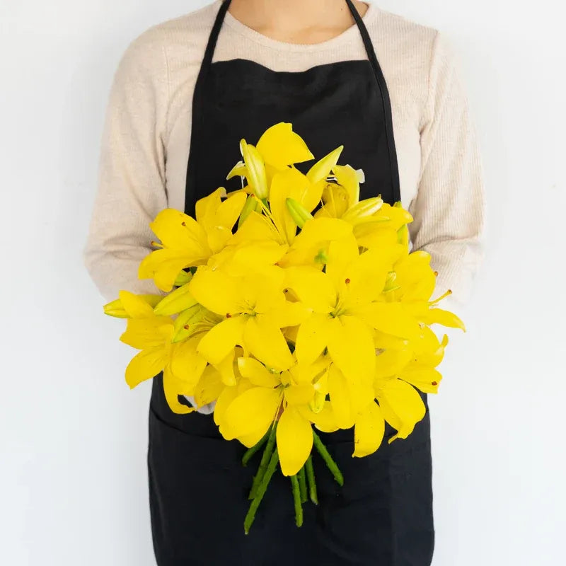 Lily - Yellow Asiatic (5 Stems)