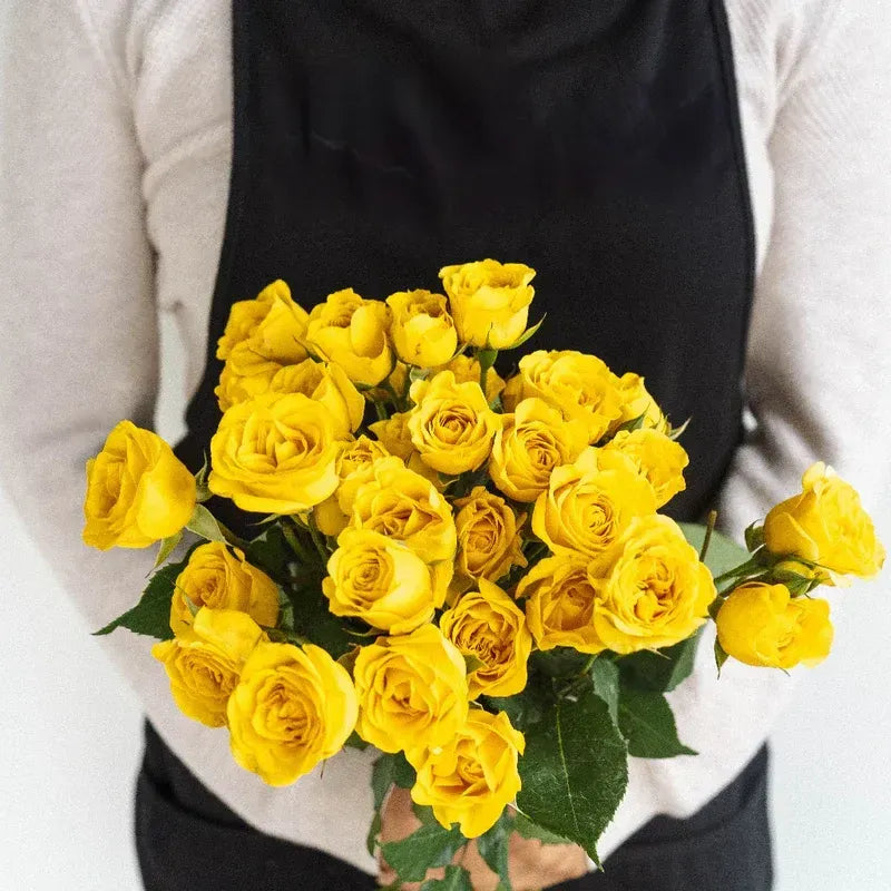 Spray Roses - Yellow (10 Stems)