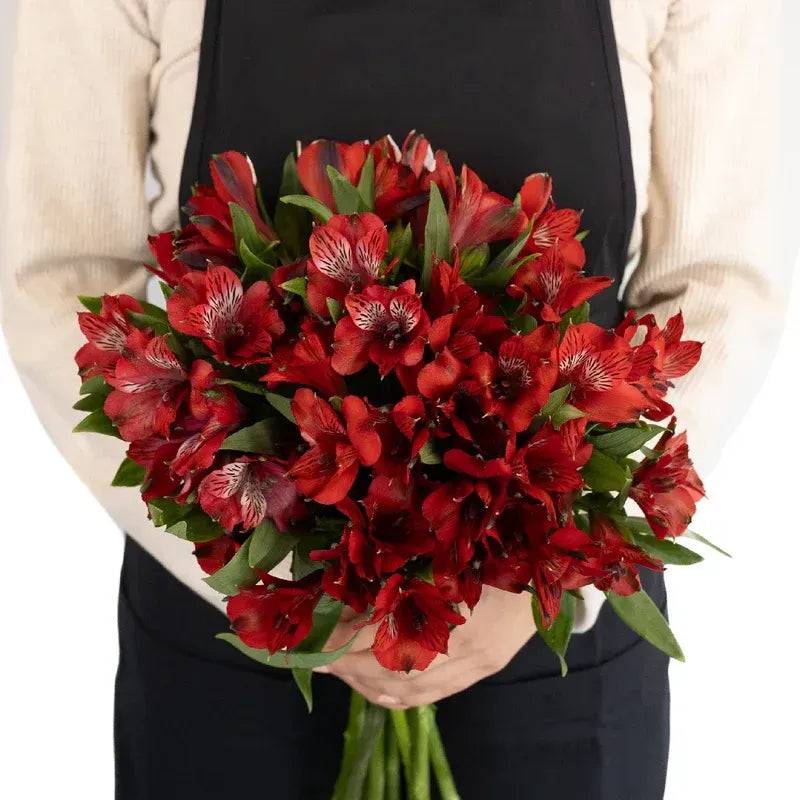 Brick Red Alstroemeria - Peruvian Lilies (20 Stems)