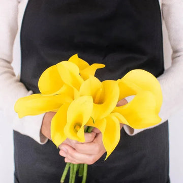 Calla Lily - Golden Yellow (10 Stems)